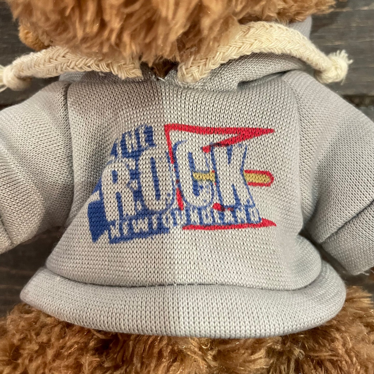 Plush Moose with Hoodie