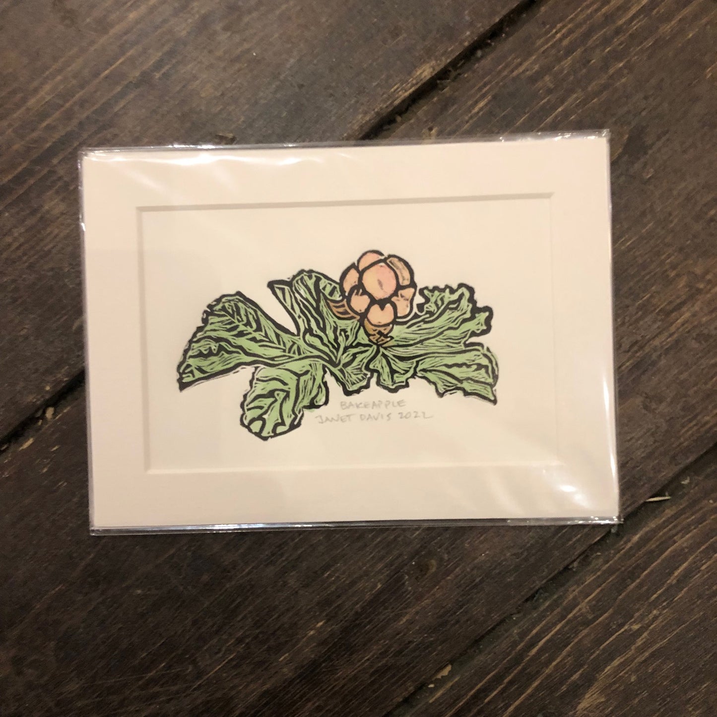 Norton's Cove Mini Prints, Bakeapple