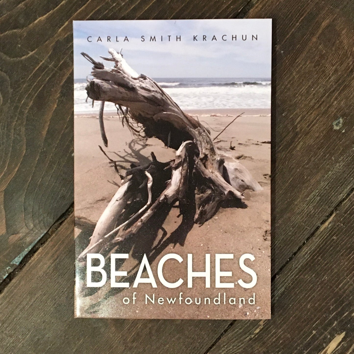 Beaches of Newfoundland by Carla Smith Krachun