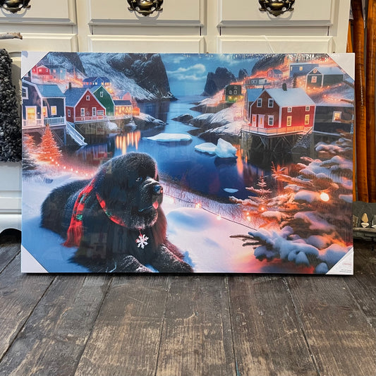 Canvas Print, Newfoundland Dog