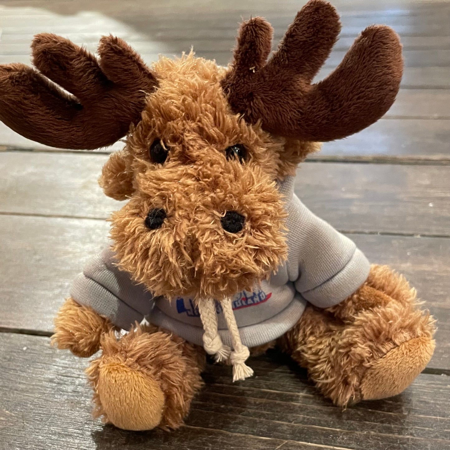 Plush Moose with Hoodie