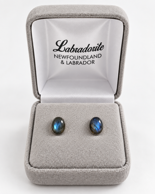 Small oval labradorite stud earrings in a grey gift box