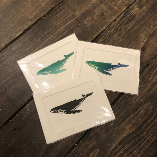 Norton's Cove Mini Prints, 5X7, Humpback