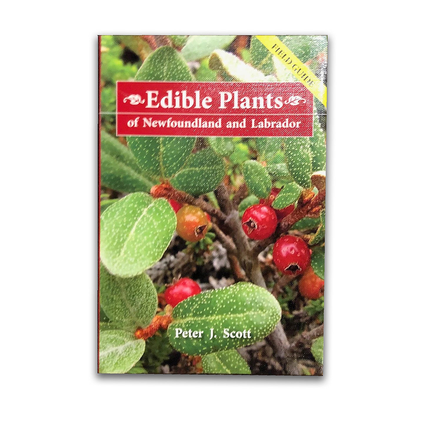 Edible Plants of Newfoundland and Labrador by Peter J. Scott